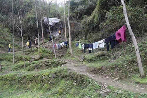 中国志愿者守护世界濒危水鸟黑嘴鸥23年