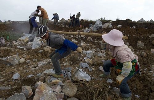 国家湿地公园生态补偿机制试点对候鸟栖息地周边农户给予经济补偿